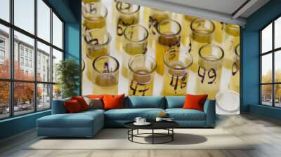 samples of urine Wall mural