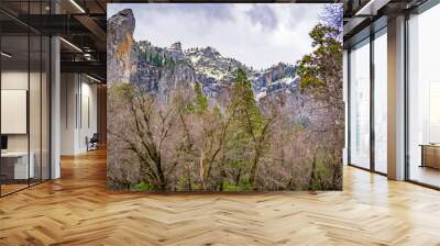 Yosemite Trees 2 Wall mural