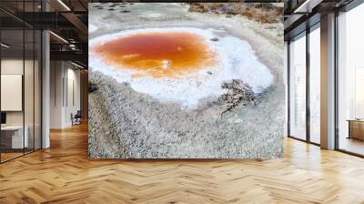 Subsidence funnels on salt marsh are filled with lakes of diverse colors. Red color caused by bacterias Dunaliella salina, Salinibacter ruber, white cloudy color due concentration of hydrogen sulfide Wall mural