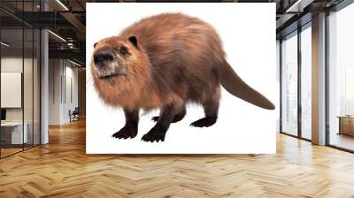 Beaver isolated on white background 3d illustration Wall mural