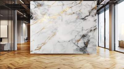 Abstract marble background. White black marble texture with gold veins. Abstract luxury background for wallpaper, Banner, invitation, website Wall mural