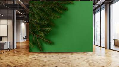 Green branches of christmas tree on a green background. Green Christmas or New Year background in a minimalist style, copy space Wall mural