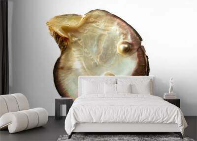 Mother of pearl oyster, with two pearls, isolated on white background Wall mural