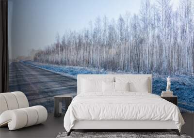 Beautiful winter road with birch young birch forest on the side. Sunny winter day. Wall mural