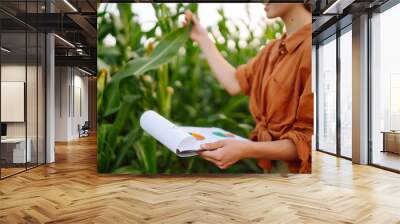 A farmer woman  stands in a field and inspects a green corn plantation. Agricultural industry Wall mural