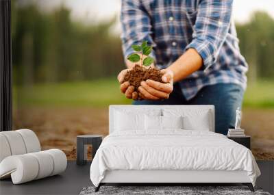 A young plant in the hands of a farmer against the background of an agricultural field. Concepts of ecology and gardening. Wall mural