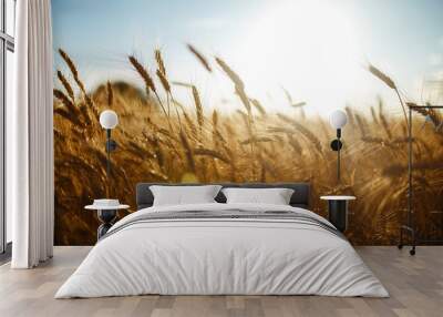 Amazing agriculture sunset landscape.Growth nature harvest. Wheat field natural product. Ears of golden wheat close up. Rural scene under sunlight. Summer background of ripening ears of landscape. Wall mural