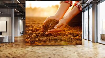 Close-up of a farmer's hands taking black soil from the field. Men's hands move the soil with their hands, checking its quality. Ecology concept. Wall mural