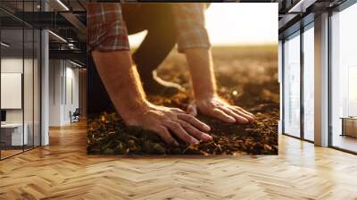 Expert hand of farmer checking soil health before growth a seed of vegetable or plant seedling.  Agriculture, organic gardening, planting or ecology concept. Wall mural