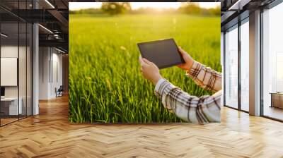 Farmer woman uses modern technology, digital tablet for smart farming. Checking crop growth. Agricultural activity. Wall mural