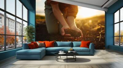 Female hands touching soil on the field before growth a seed of vegetable or plant seedling. Agriculture, gardening or ecology concept. Wall mural