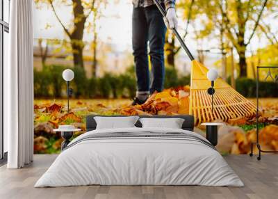 Man in his hands with a fan-shaped yellow rake collects fallen autumn leaves in the park. A rake and a pile of leaves on the lawn. Autumn cleanliness in the garden yard. Wall mural