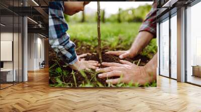 Planting a family tree. Hands of grandfather and little boy planting young tree in the garden. Environmental awareness. Spring concept, save nature and care.  Wall mural