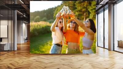 Three young woman is resting at picnic. Girlfriends  enjoy sunny day on beautiful green meadow. Vacation, picnic, friendship or holliday concept. Wall mural