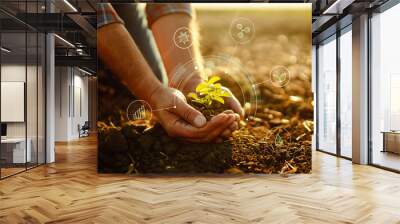 Young plant in hands with soil with graphic concepts. Monitoring the growth of sprougt plants. Modern Agricultural Information Technology Integrate concept. Wall mural