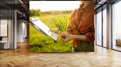 Young woman farmer in a wheat field examines wheat sprouts. Agronomist checks quality of wheat field with clipboard in his hands on sunny day. Concept of agriculture, gardening. Wall mural