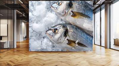 Two fresh Dorado on ice with copy space on the left. View from above Wall mural