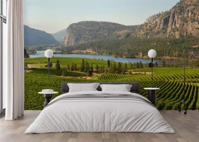 okanagan valley vineyard scenic, british columbia Wall mural