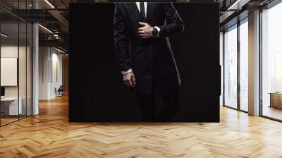 Full-length portrait of handsome stylish man in elegant black su Wall mural