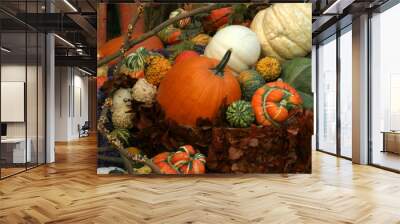 pumpkin display Wall mural