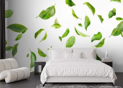 A collection of green leaves floating and flying in the air, isolated against a transparent background. The leaves vary in size and orientation, creating a dynamic and natural pattern Wall mural