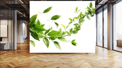 A dynamic arc of green leaves and tender stems, conveying the concept of growth and vitality. The leaves are spread out, suggesting movement and natural flow. Wall mural