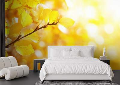 Autumn leaves yellow nature october wallpaper abstract autumn fall background Wall mural