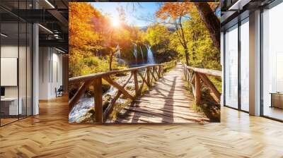 Croatia, Plitvice lakes, autumn forest, colourful tourist pathway Wall mural