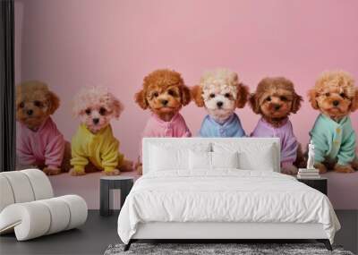 Cute pink background with poodle puppies wearing colorful shirts. Wall mural