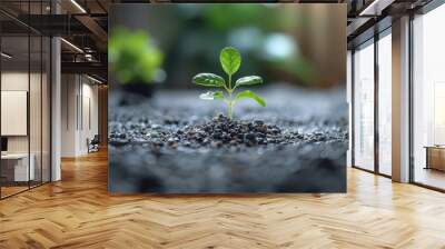 Developing a business plan, determining business strategy and future marketing and finance action plans, and making long term investments. Wall mural