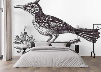 In this vintage line art image, an umbrellabird displays two unique feather crests Wall mural