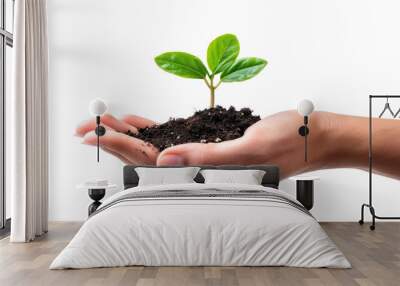 Hand holding a small plant with green leaves and soil. The image, set against a transparent background, symbolizes growth, nurturing, and environmental care. Wall mural