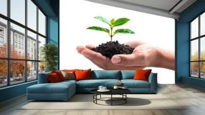 Hand holding a young green plant with soil, symbolizing growth and nurturing. Ideal for environmental, sustainability, or growth-themed designs. Transparent background. Wall mural