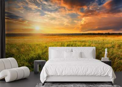 Summer landscape with uncultivated field and beautiful sunset above it. Wall mural