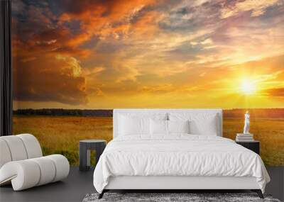 Sunset landscape with a plain wild grass field and a forest on background. Wall mural