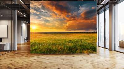 Sunset landscape with a plain wild grass field and a forest on background. Wall mural