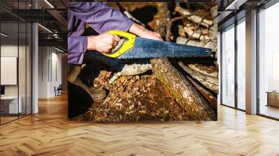 Man sawing wood for campfire in the forest. Close-up saw and lumberjack hand cutting trees outdoors. Man cutting log of wood timber to making campfire on nature. Wall mural