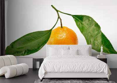 ripe tangerine on a white background. macro photography Wall mural