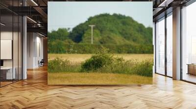 tree in a field Wall mural