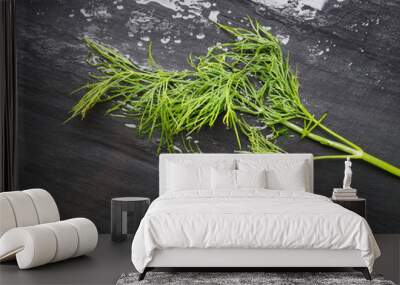 Wet fennel on a black background. Beautiful photo of seasoning. Ingredient for the salad. Wall mural