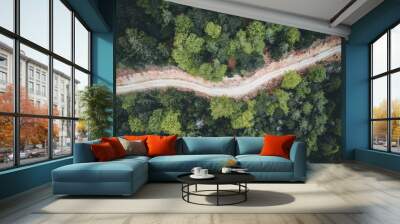 forest Road view from above in summer Wall mural