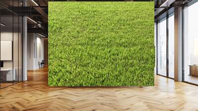 fresh green grass background Wall mural