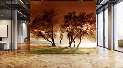 landscape Wall mural