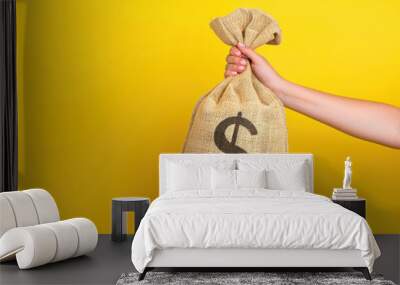 A hand holding a burlap money bag with a dollar sign on a yellow background, savings, investments, banking, business, economic growth Wall mural