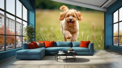 A small dog is running through a field of grass. The dog is happy and energetic, and the grass is lush and green Wall mural