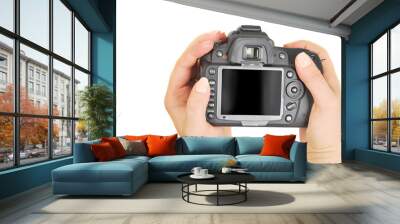 Digital camera. Wall mural