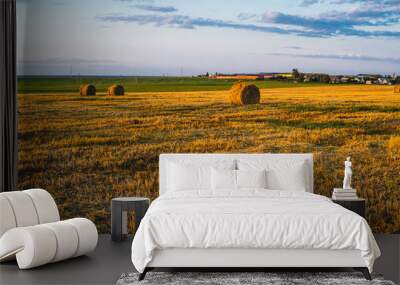 Rolled haystack. hay bale. agriculture field with sky. rural landscape. straw on the meadow. harvest in summer Wall mural