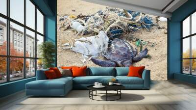 dead turtle in fishing nets Wall mural