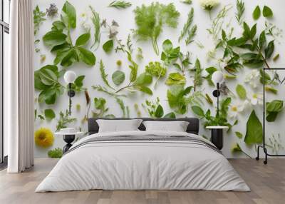 Flat lay of fresh herbs on white background. Generative Ai. Wall mural