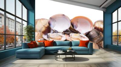 clam shell raw fresh seafood on plate isolated on white background Wall mural